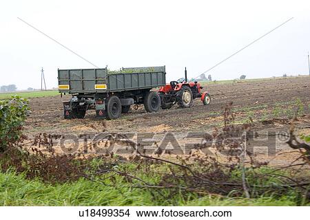 Harvesting on the farm View Large Photo Image Picture - Harvesting on the farm. Fotosearch