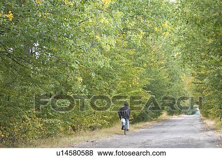 Stock Photo - Man bicycling along tree arched road. Fotosearch