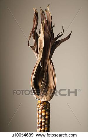 Stock Photo - -. Fotosearch