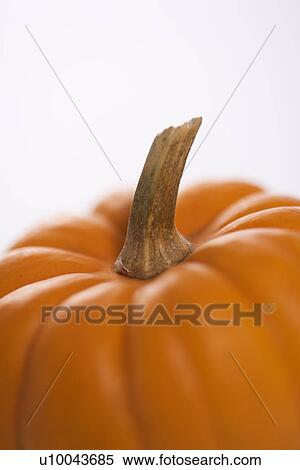Stock Photography - Close-up still life of orange pumpkin against white background.. Fotosearch