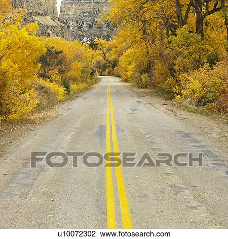 Country road with yellow Aspen trees on both sides. View Large Photo Image Stock Image - Country road with yellow Aspen trees on both sides.. Fotosearch