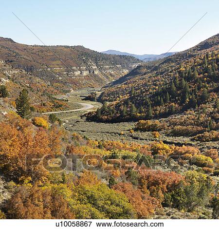 Landscape with trees in Fall color and winding road in Utah. View Large Photo Image Stock Photo - Landscape with trees in Fall color and winding road in Utah.. Fotosearch