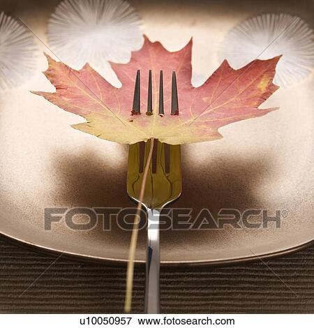 Stock Photo - Red and green Maple leaf pierced by a dinner fork with dinner plate in background.. Fotosearch
