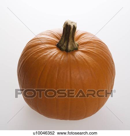 Still life of orange pumpkin against white background. View Large Photo Image Stock Image - Still life of orange pumpkin against white background.. Fotosearch