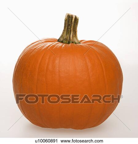 Stock Image - Still life of orange pumpkin against white background.. Fotosearch