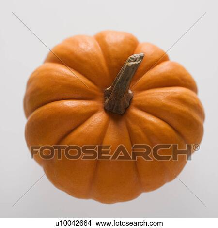 Picture - Still life of orange pumpkins against white background.. Fotosearch