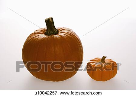 Still life of two orange pumpkins against white background. View Large Photo Image Stock Photo - Still life of two orange pumpkins against white background.. Fotosearch