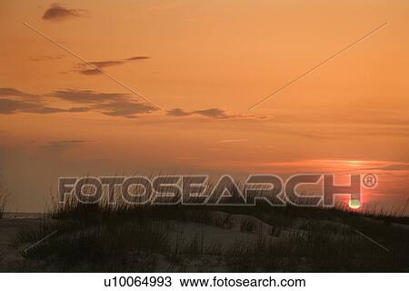 Sun setting over beach sand dune on Bald Head Island, North Carolina. View Large Photo Image Stock Image - Sun setting over beach sand dune on Bald Head Island, North Carolina.. Fotosearch