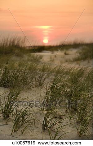 Stock Photo - Sun setting over beach sand dune on Bald Head Island, North Carolina.. Fotosearch