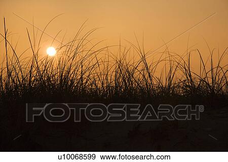 Sunset over beach sand dune on Bald Head Island, North Carolina. View Large Photo Image Stock Photo - Sunset over beach sand dune on Bald Head Island, North Carolina.. Fotosearch