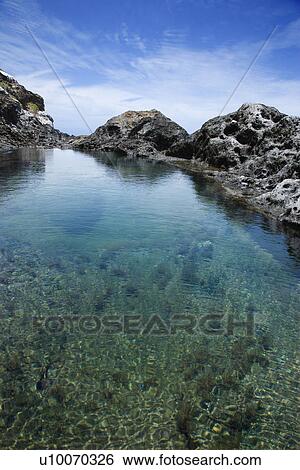 Tidal pool with seaweed and large rocks and blue sky in background in Maui, Hawaii. View Large Photo Image Stock Photograph - Tidal pool with seaweed and large rocks and blue sky in background in Maui, Hawaii.. Fotosearch