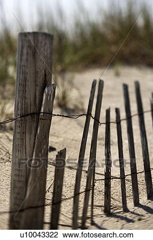 Weathered fence on sand dune on Bald Head Island, North Carolina. View Large Photo Image Stock Image - Weathered fence on sand dune on Bald Head Island, North Carolina.. Fotosearch