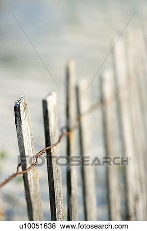 Weathered wooden fence on beach on Bald Head Island, North Carolina. View Large Photo Image Stock Photo - Weathered wooden fence on beach on Bald Head Island, North Carolina.. Fotosearch