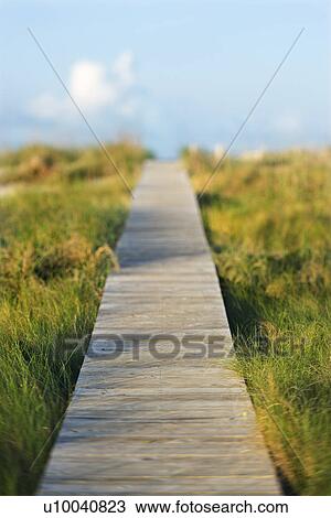 Stock Image - Wooden beach access walkway.. Fotosearch