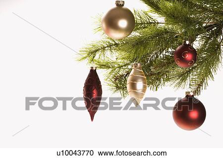 Still life of red and gold Christmas ornaments hanging from pine branch. View Large Photo Image Stock Image - Still life of red and gold Christmas ornaments hanging from pine branch.. Fotosearch