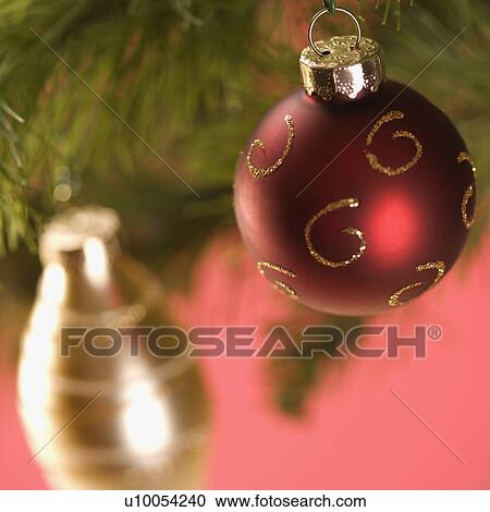Still life of red and gold Christmas ornaments hanging from pine branch. View Large Photo Image Stock Image - Still life of red and gold Christmas ornaments hanging from pine branch.. Fotosearch