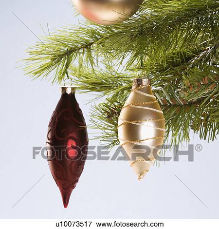 Stock Photo - Still life of red and gold Christmas ornaments hanging from pine branch.. Fotosearch