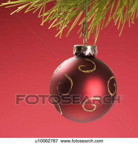 Stock Photo - Still life of red Christmas ornament hanging from pine branch.. Fotosearch