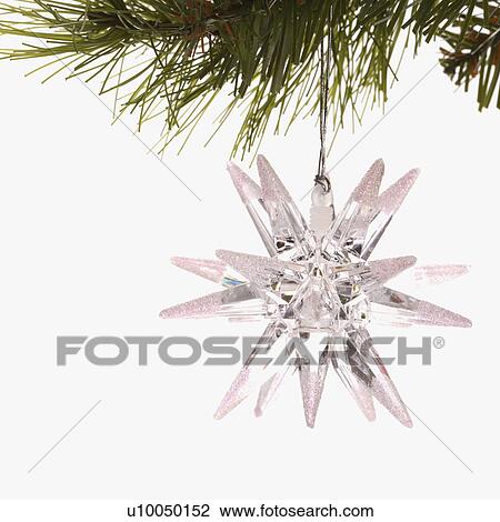 Stock Image - Still life of star-shaped white Christmas ornament hanging from pine branch.. Fotosearch
