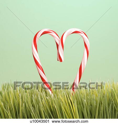 Still life of two upright candy canes forming a heart in the grass. View Large Photo Image Stock Image - Still life of two upright candy canes forming a heart in the grass.. Fotosearch