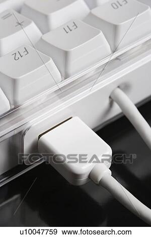 Stock Photo - Close-up of cords connected to computer keyboard.. Fotosearch
