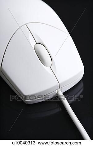 Computer mouse. View Large Photo Image Stock Image - Computer mouse.. Fotosearch