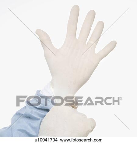 Mid-adult Caucasian male putting on latex medical gloves. View Large Photo Image Picture - Mid-adult Caucasian male putting on latex medical gloves.. Fotosearch