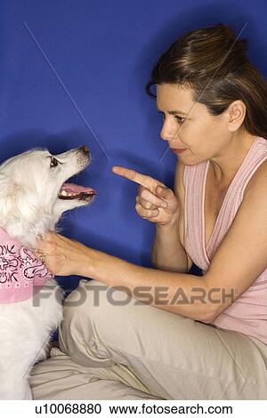 Stock Image - Caucasian prime adult female reprimanding fluffy white dog.. Fotosearch