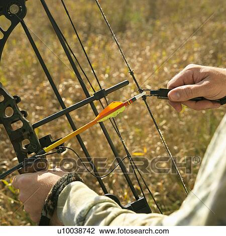 Bow hunter hands holding compound bow in field. View Large Photo Image Stock Image - Bow hunter hands holding compound bow in field.. Fotosearch