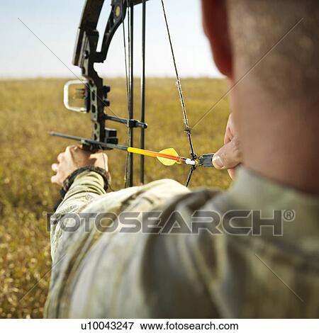 Bow hunter in field pulling back arrow on compund bow. View Large Photo Image Stock Photo - Bow hunter in field pulling back arrow on compund bow.. Fotosearch