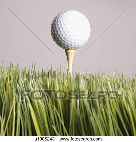 Studio shot of golf ball resting on tee in grass. View Large Photo Image Stock Image - Studio shot of golf ball resting on tee in grass.. Fotosearch
