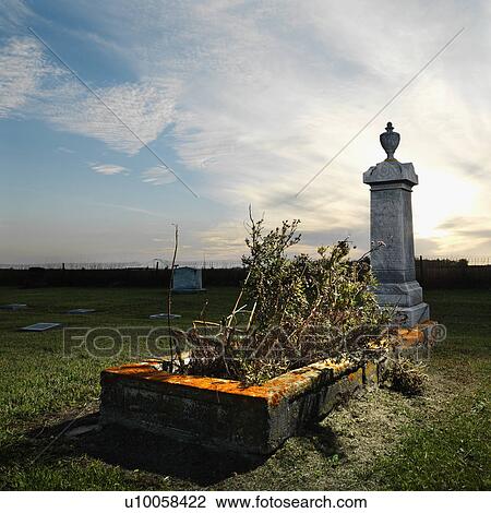 Stock Image - Memorial in rural cemetary with plants.. Fotosearch
