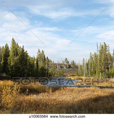 Picture - Landscape with stream and field in Yellowstone National Park, Wyoming.. Fotosearch