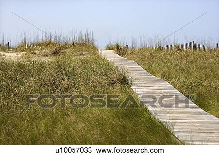 Wooden access path to beach on Bald Head Island, North Carolina. View Large Photo Image Stock Image - Wooden access path to beach on Bald Head Island, North Carolina.. Fotosearch