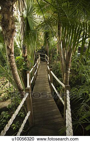 Stock Image - Wooden pathway at Lisbon Aquarium in Spain.. Fotosearch