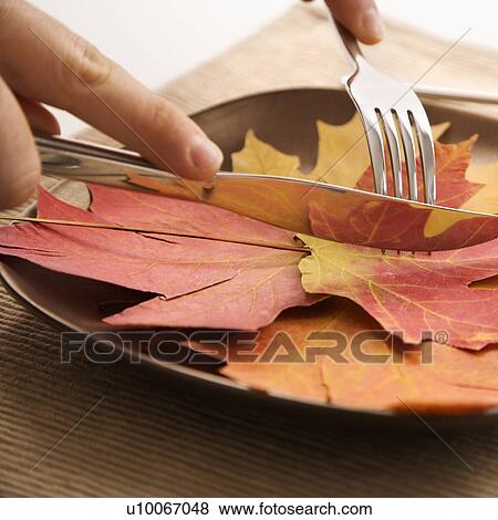 Close-up of person's hands carving meal of multicolored leaves using knife and fork. View Large Photo Image Stock Photo - Close-up of person's hands carving meal of multicolored leaves using knife and fork.. Fotosearch