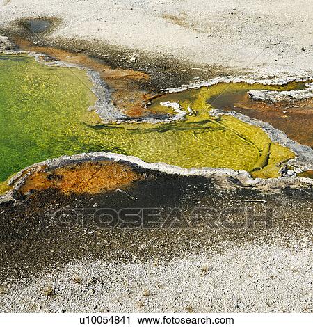 Colorful mineral deposits in geyser basin in Yellowstone National Park, Wyoming. View Large Photo Image Stock Image - Colorful mineral deposits in geyser basin in Yellowstone National Park, Wyoming.. Fotosearch