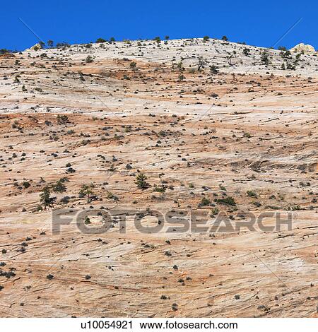 Stock Image - Desert landscape in Zion National Park, Utah.. Fotosearch