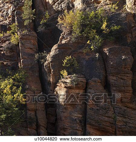 Rocky cliffs with vegetation in Zion National Park, Utah. View Large Photo Image Stock Image - Rocky cliffs with vegetation in Zion National Park, Utah.. Fotosearch