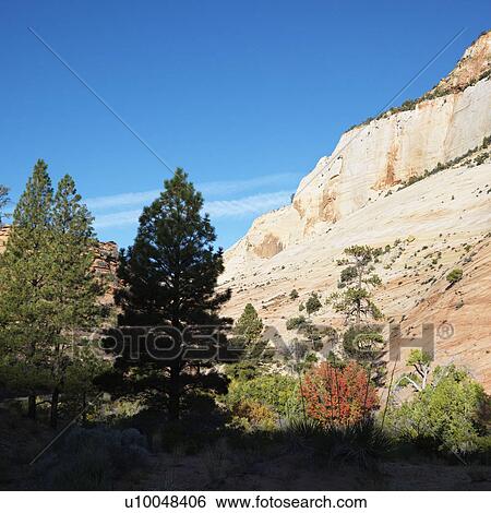 Rocky desert cliffs behind trees in Zion National Park, Utah. View Large Photo Image Stock Photograph - Rocky desert cliffs behind trees in Zion National Park, Utah.. Fotosearch