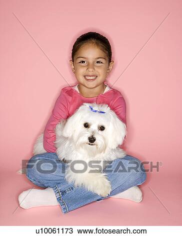 Female Hispanic girl holding Maltese dog. View Large Photo Image Stock Image - Female Hispanic girl holding Maltese dog.. Fotosearch