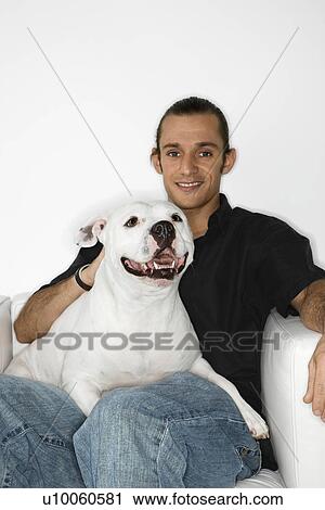 Young adult male Caucasian holding white Pit Bull dog on lap. View Large Photo Image Stock Image - Young adult male Caucasian holding white Pit Bull dog on lap.. Fotosearch