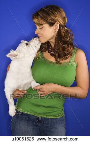 Stock Photograph - Caucasian prime adult female holding white terrier dog.. Fotosearch
