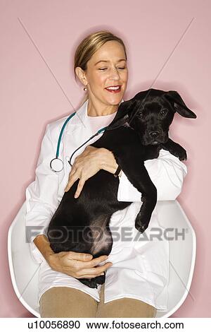 Stock Image - Caucasian prime adult female veterinarian with black puppy.. Fotosearch