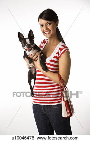 Young adult female Caucasian holding Boston Terrier dog. View Large Photo Image Stock Photo - Young adult female Caucasian holding Boston Terrier dog.. Fotosearch