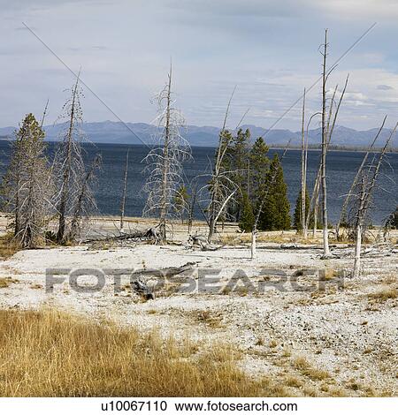 Barren shoreline at Yellowstone National Park, Wyoming. View Large Photo Image Stock Image - Barren shoreline at Yellowstone National Park, Wyoming.. Fotosearch
