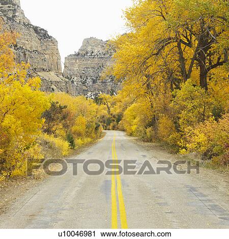 Country road leading to mountain range with yellow Aspen trees on both sides. View Large Photo Image Stock Image - Country road leading to mountain range with yellow Aspen trees on both sides.. Fotosearch