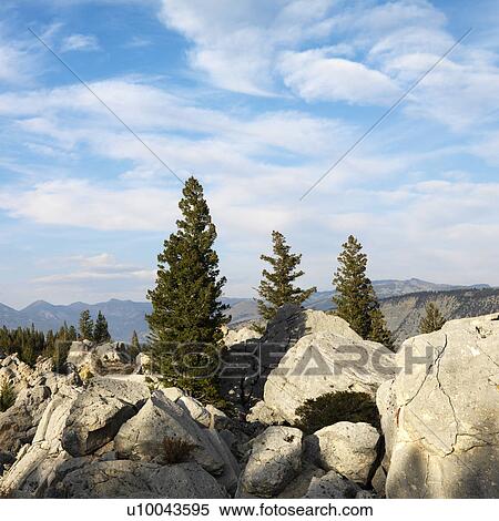 Large boulders with evergreen trees in Wyoming. View Large Photo Image Stock Photography - Large boulders with evergreen trees in Wyoming.. Fotosearch