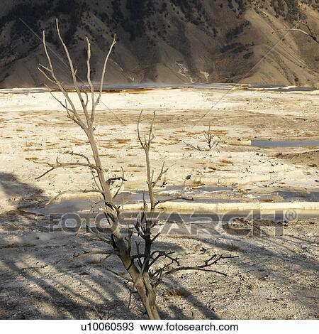 Mountains with barren valley at Yellowstone National Park, Wyoming. View Large Photo Image Stock Image - Mountains with barren valley at Yellowstone National Park, Wyoming.. Fotosearch