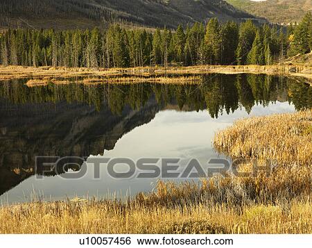 Stock Photograph - Wyoming mountains reflected in lake surrounded by golden field.. Fotosearch